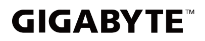 6. Gigabyte